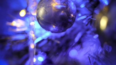 两次梦见同一个梦境